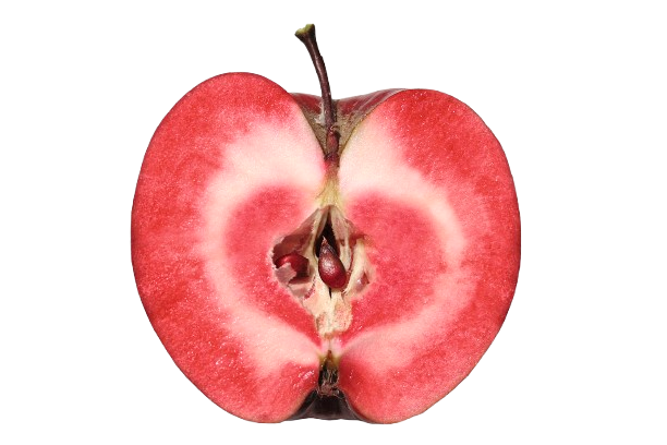 Swiss Apple Stem Cell Serum Hover